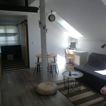 Apartamento Studio Apartman Hana Drežnik Grad Exterior foto