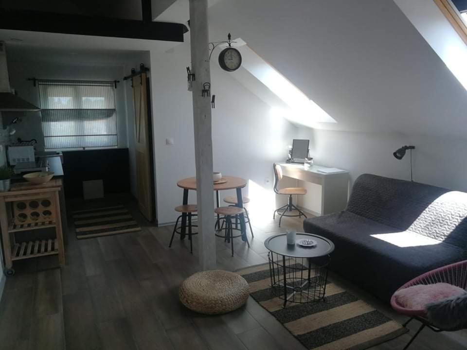 Apartamento Studio Apartman Hana Drežnik Grad Exterior foto