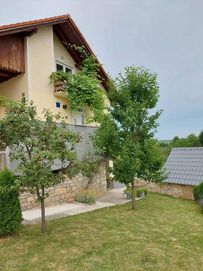 Apartamento Studio Apartman Hana Drežnik Grad Exterior foto
